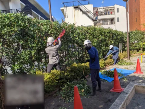 【日給1.2万円】軽作業＋ドライバー｜週2,3日～OK｜シニア歓迎｜集めて運ぶだけ